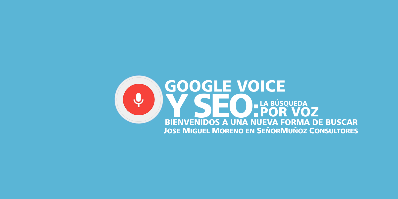 google voice y SEO