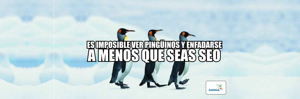 Pinguinos SEO